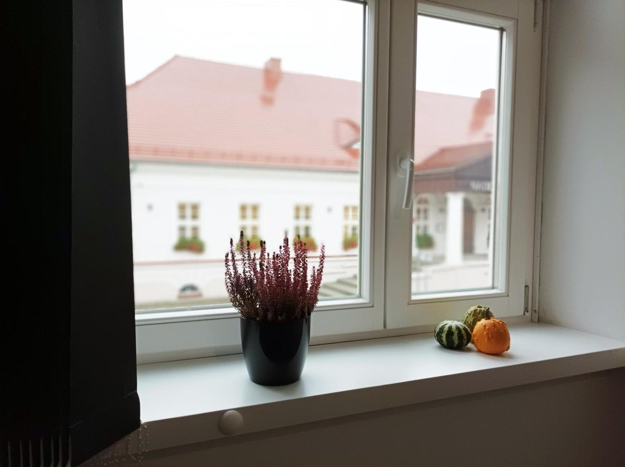 Pokoje Pod Palacem Koszecin エクステリア 写真